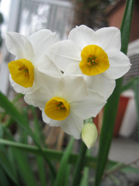 IMG_2816.JPG