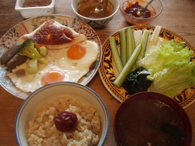 aP1010001.JPG