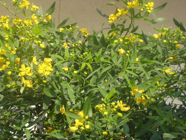 aa 044.jpg