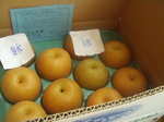 aa 077.jpg