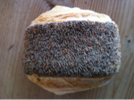 iphone/image-20110211103120.png